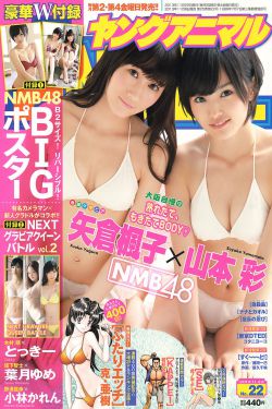 私藏浪漫电视剧在线播放免费观看